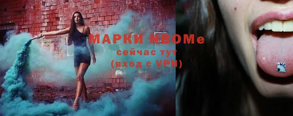 спиды Ельня