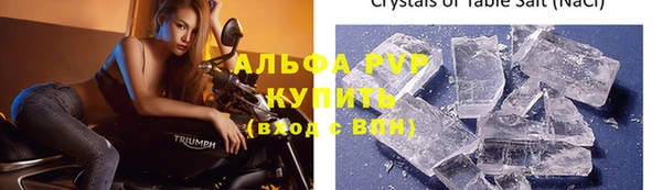 спиды Ельня