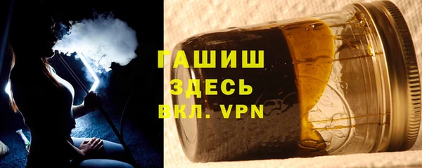 спиды Ельня