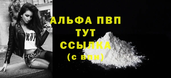 спиды Ельня