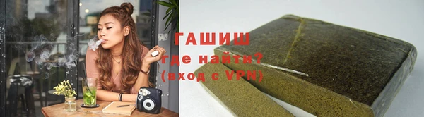 спиды Ельня