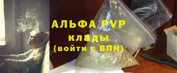 спиды Ельня