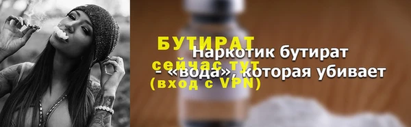 спиды Ельня