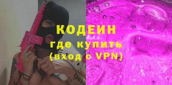 спиды Ельня