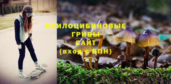 таблы Елизово