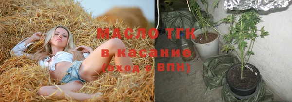 спиды Ельня