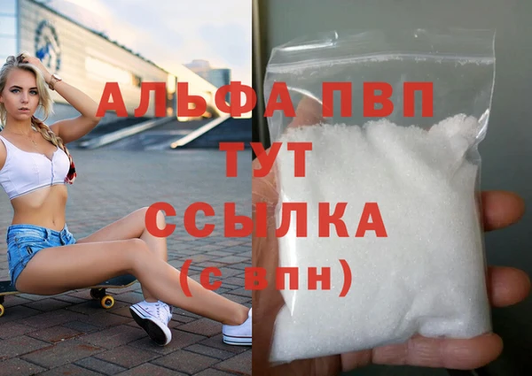 спиды Ельня