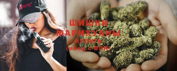 спиды Ельня